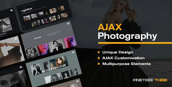 TheBi – 摄影 WordPress 主题