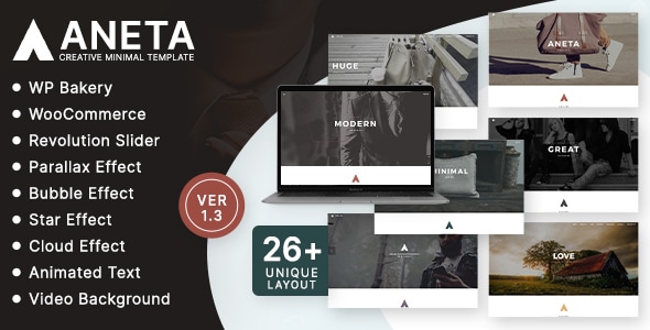 Aneta Agency Startup Agency WordPress 主题