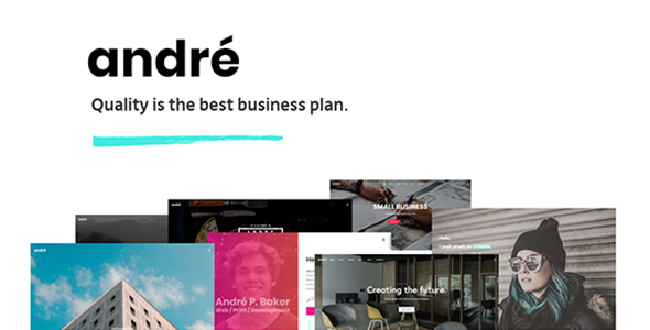 André – 一个新鲜的多用途 WordPress 主题