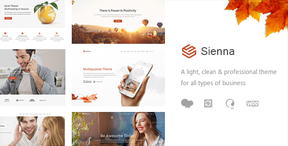 Sienna – 专业商业 WordPress 主题