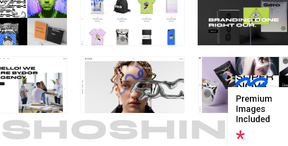Shoshin – 数字代理 WordPress 主题