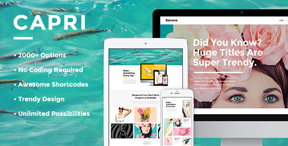 Capri – 创意组合 WordPress 主题