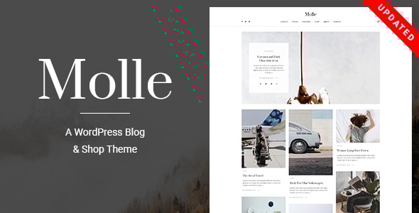 Molle – 一个响应式博客和商店WordPress主题