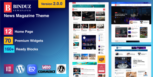Binduz – 博客杂志报纸 WordPress 主题