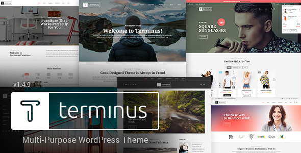 Terminus – 响应式多用途 WordPress 主题