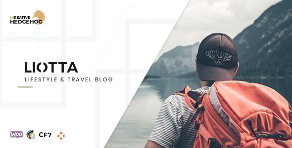 Liotta – WordPress 的响应式博客主题