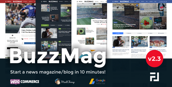 BuzzMag – 病毒式新闻 WordPress 杂志/博客主题