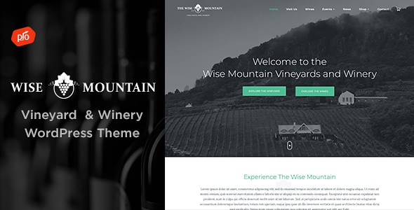 Wise Mountain – 葡萄园和酿酒厂 WordPress 主题