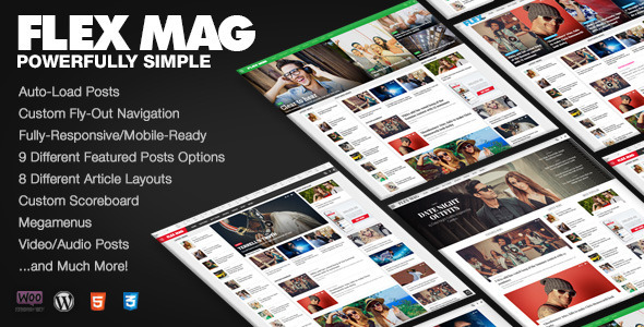 Flex Mag – 响应式 WordPress 新闻主题