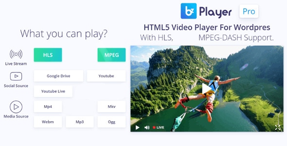 bzplayer Pro – Live Streaming Player WordPress 插件