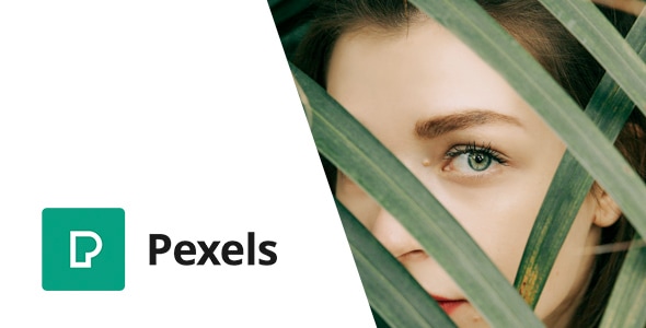 Pexels – 将免费库存图片导入 WordPress