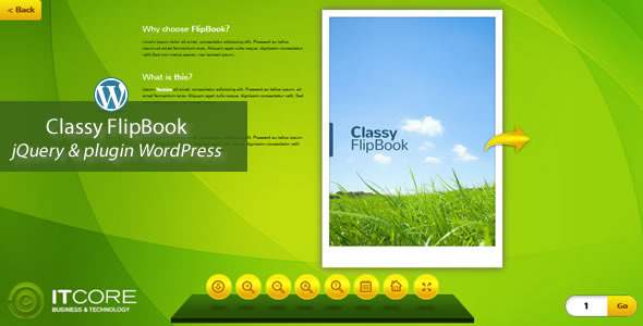 Classy FlipBook 响应式 WordPress 插件