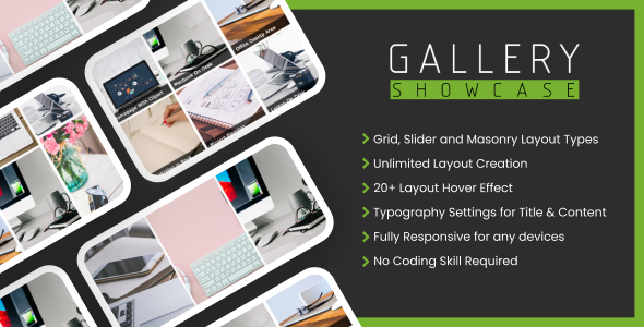 适用于 WordPress 的 Gallery Showcase Pro