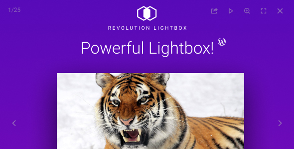 Revolution Lightbox WordPress  WooCommerce插件