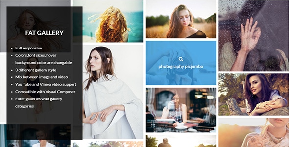 WordPress 的 FAT 图片库